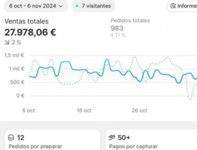 Captura de pantalla 2024-11-08 132243.png