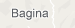 baginaxd.png