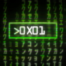 0x01