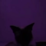 SebastR_01