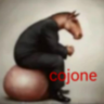 CAPI_LA