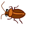 Cucaracha3694