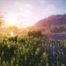 EastCreeper