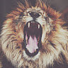 WarriorGhost666