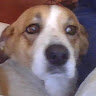 Juan el cachinero