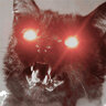 catblak6