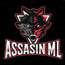 assasinml