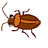 Cucaracha3694