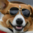 franciscow20
